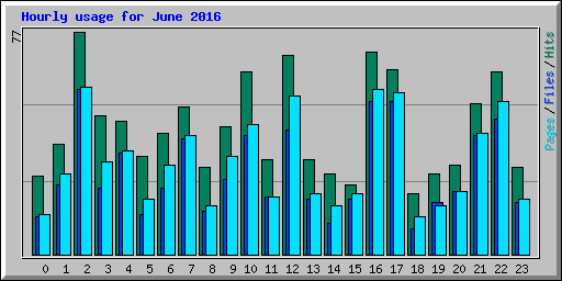 Hourly usage for June 2016