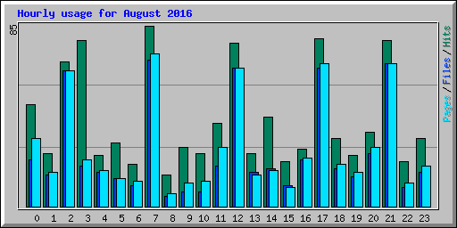 Hourly usage for August 2016