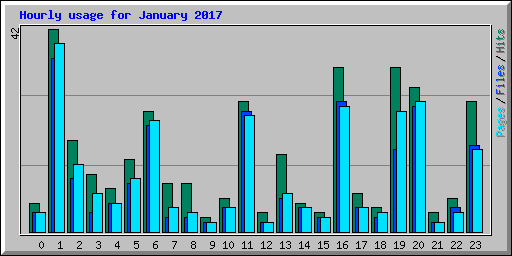 Hourly usage for January 2017